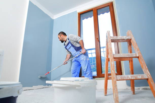 Best Mold Prevention Services  in Odem, TX