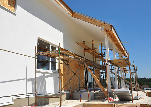 Best Mold Remediation for Rental Properties  in Odem, TX